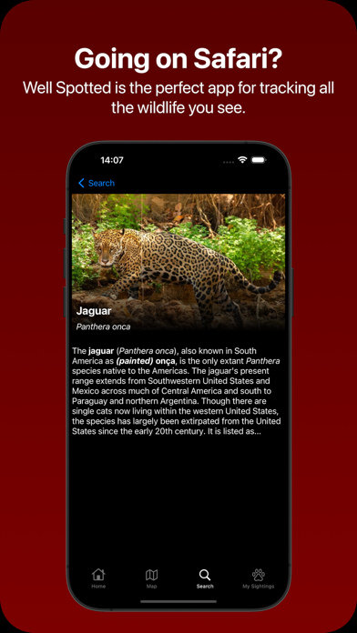 Species guide — jaguar detail with photos and field description