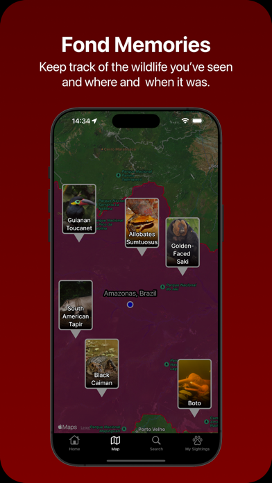 Sightings pinned on a map of where each animal was spotted