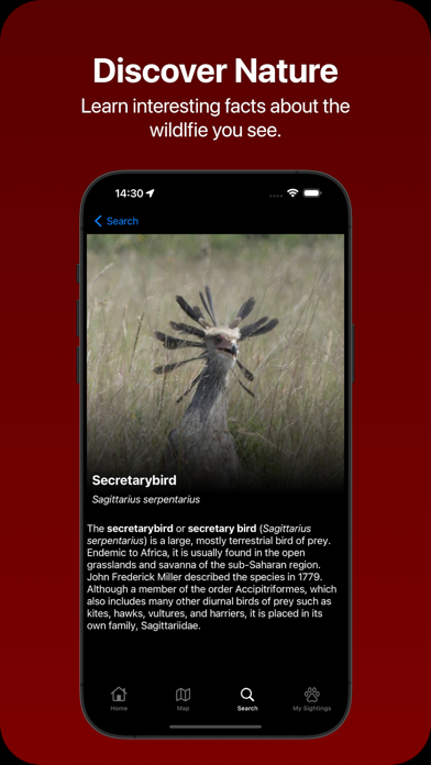 Species facts — secretarybird field notes and description